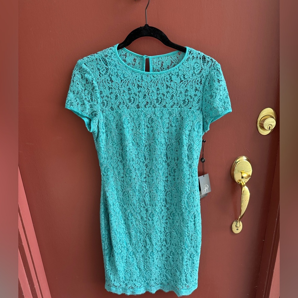 Adrianna Papell Blue Fitted Lace Dress
